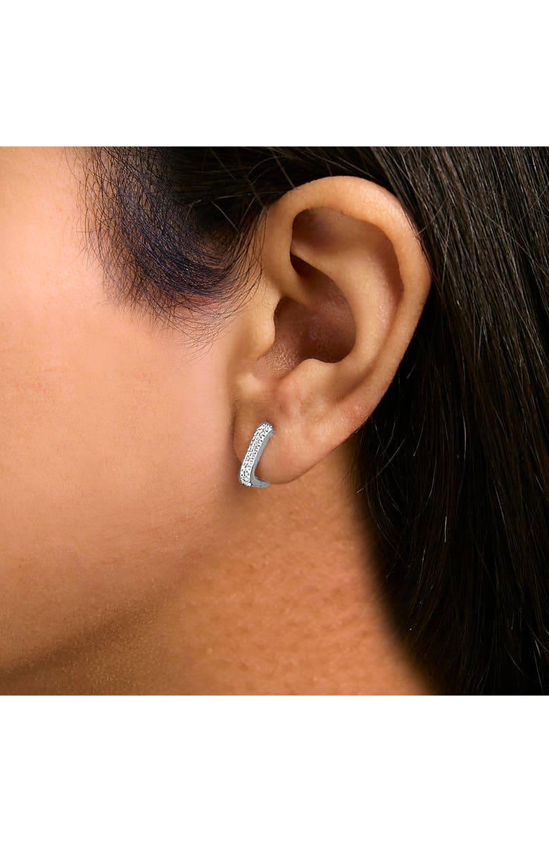 Haus of Brilliance 10K Gold 1/4 Cttw Lab Grown Diamond Double Row Huggie Hoop Earrings, Alternate, color, White