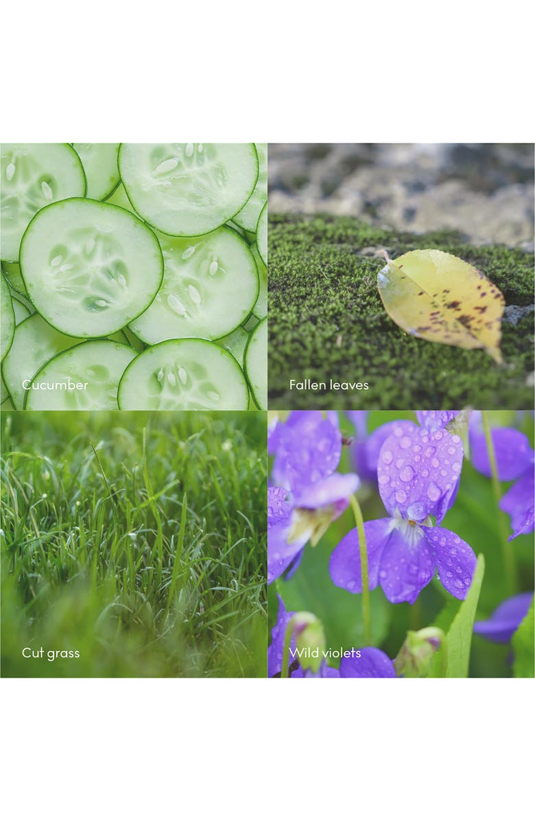 SKANDINAVISK Scent Diffuser RO 200ml, Alternate, color, Grey