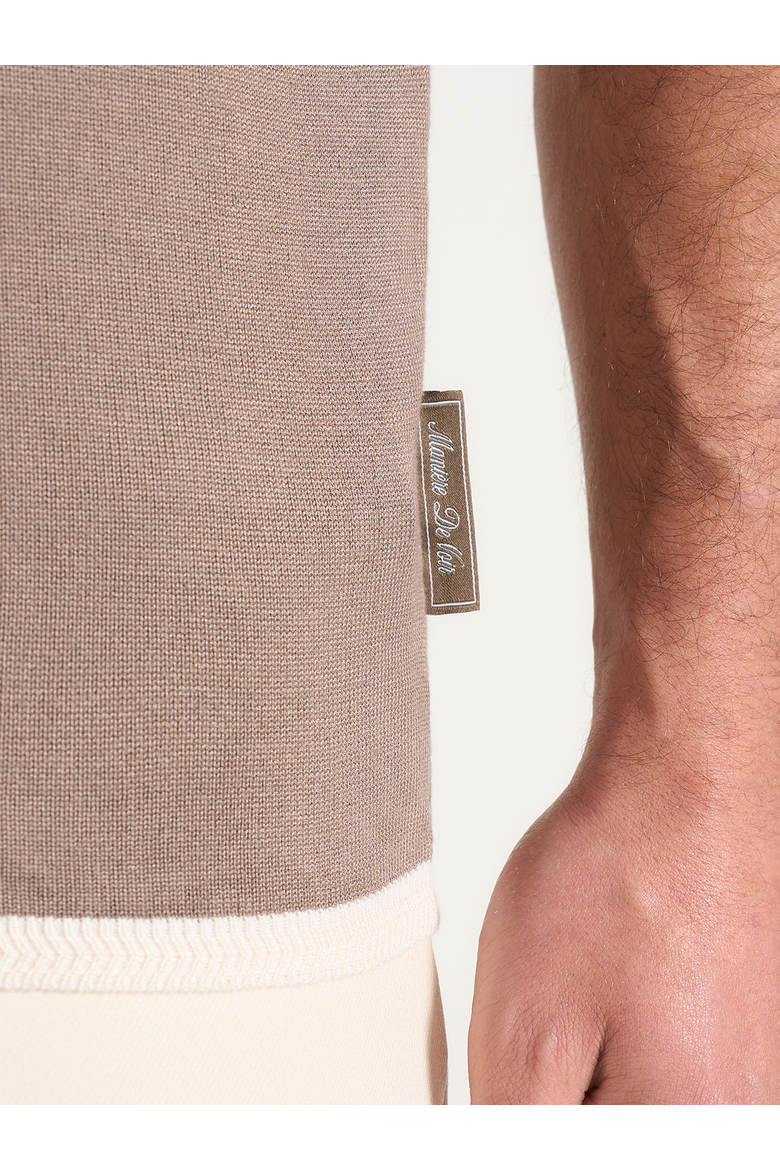 Lambert Contrast Detail Knit Polo, Alternate, color, Mushroom