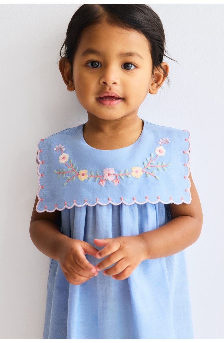 H&M Embroidered Cotton Dress, Alternate, color, Denim Blue/Flowers
