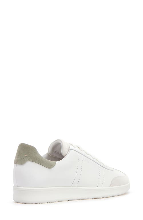 Frankie4 Drew Sneaker