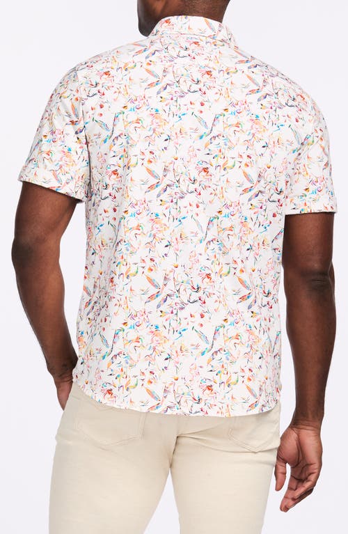 Robert Graham Wilmot Short Sleeve Cotton Button-up Shirt In White