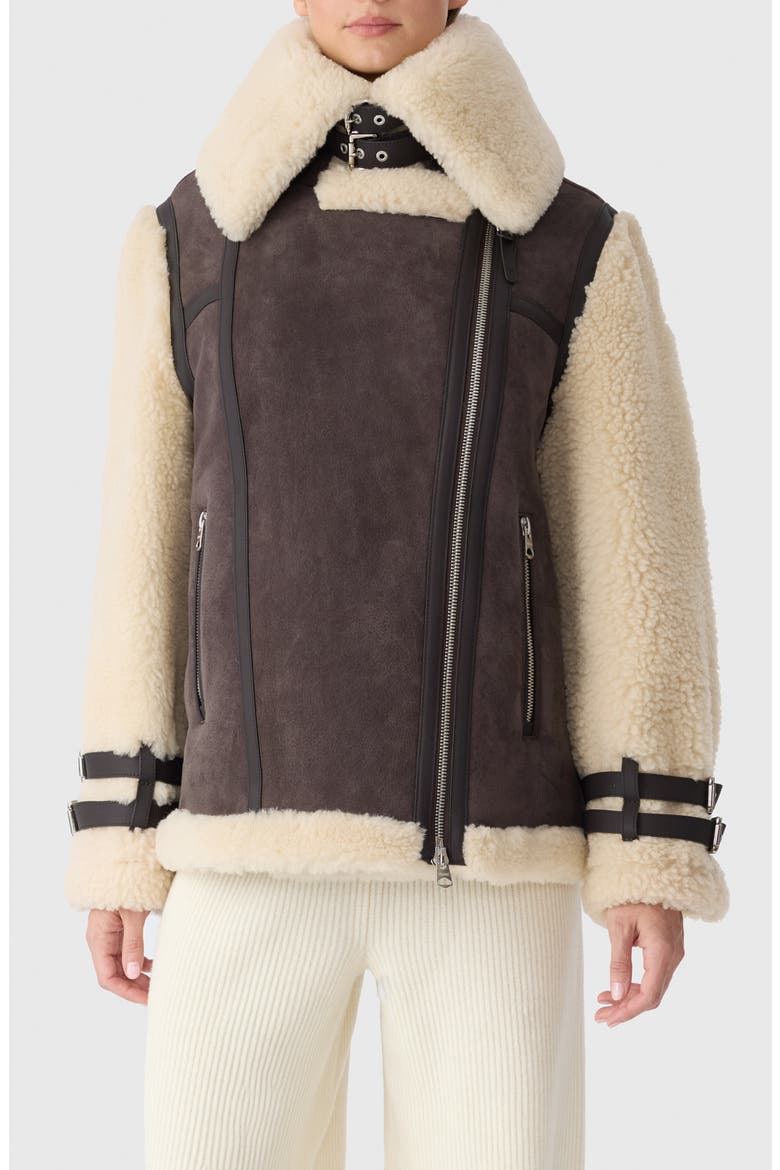 Rhoslyn Oversize Genuine Shearling Moto Jacket, Main, color, COFFEE-NATURAL