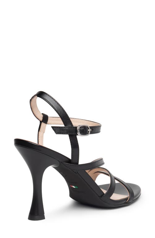 Nerogiardini Ankle Strap Sandal In Black