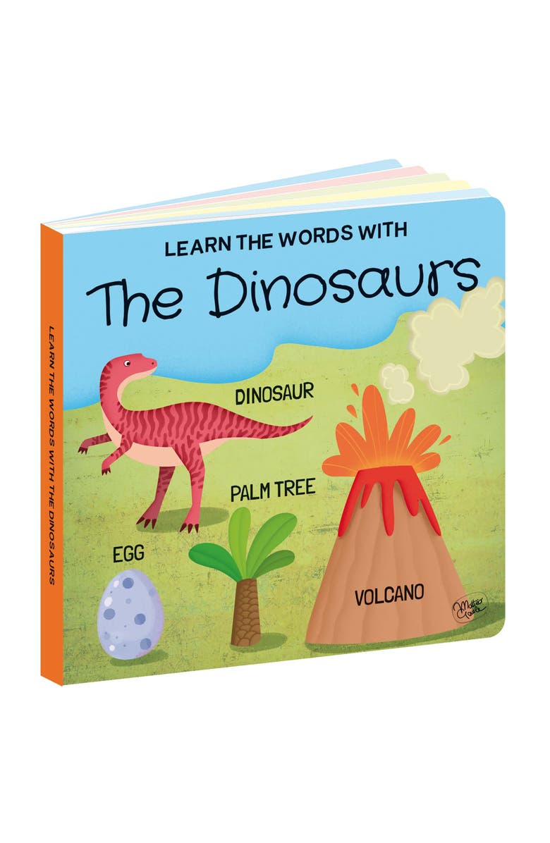 Sassi Q Box The Dinosaurs Read Play Learn Jurassic 40 Piece Set, Alternate, color, Multicolored