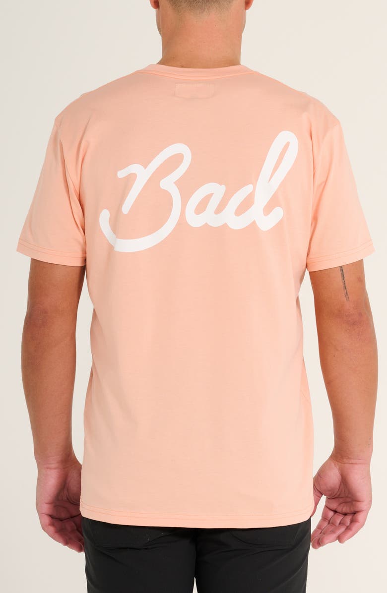 Bad Birdie Bad Graphic T-Shirt, Alternate, color,