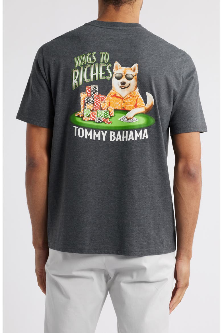Wags to Riches Graphic Pocket T-Shirt, Alternate, color, COAL HEATHER