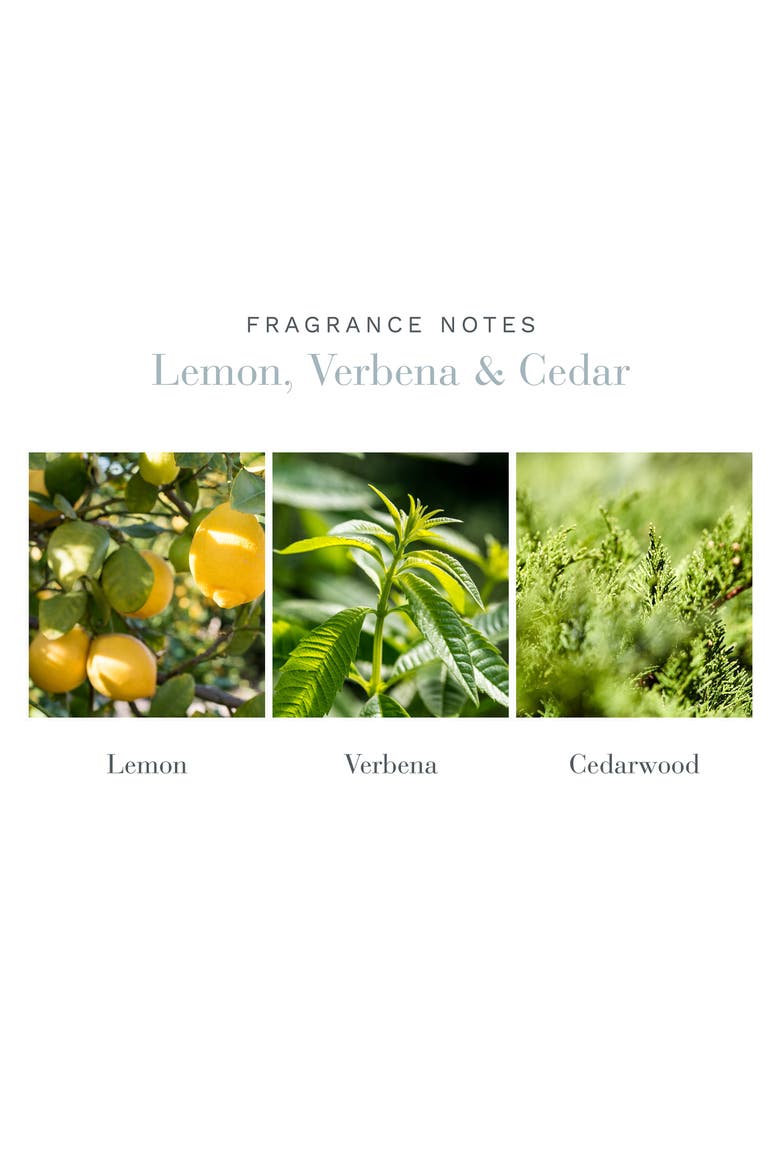 Lemon, Verbena & Cedar Home Ambiance Perfume, Alternate, color, NO COLOR
