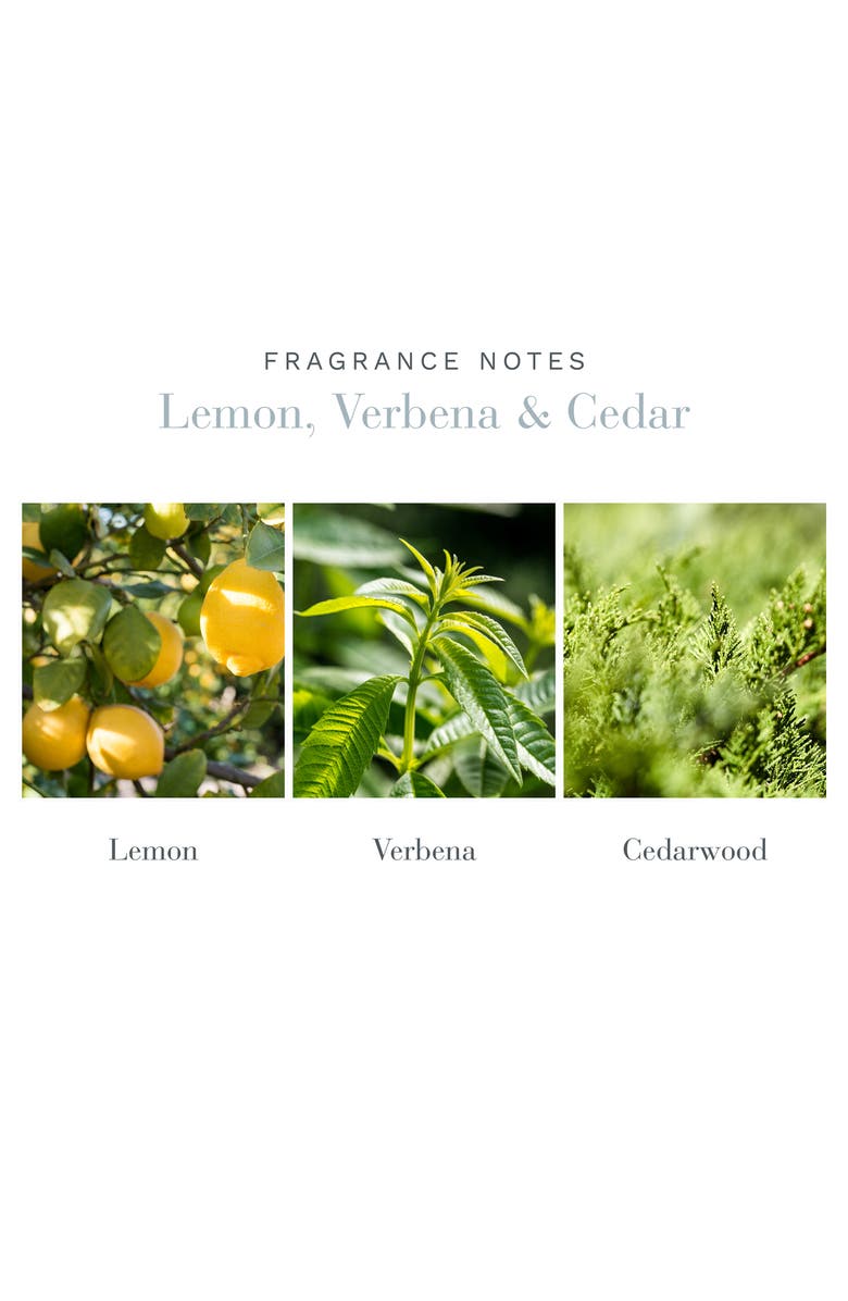 Antica Farmacista Lemon, Verbena & Cedar Home Ambiance Perfume, Alternate, color, 