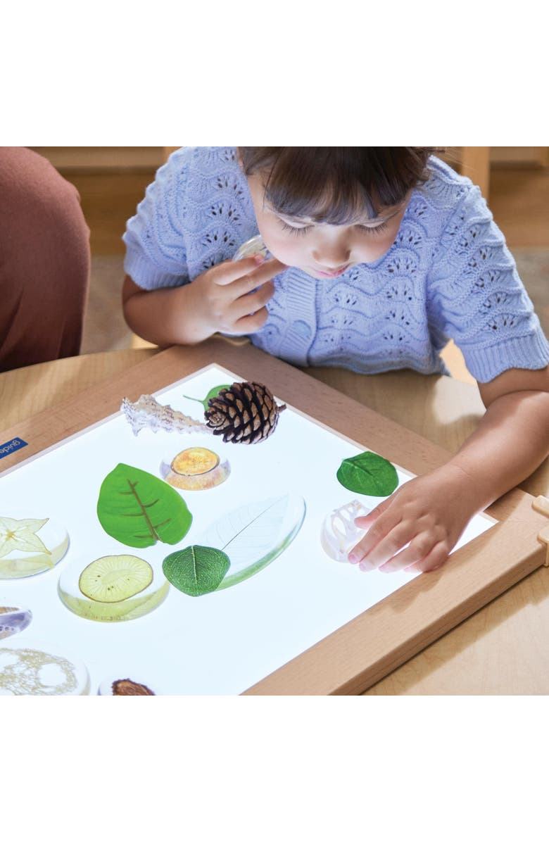 Kaplan Early Learning Company Acrylic Nature's Cross Sections, Alternate, color, Multicolored