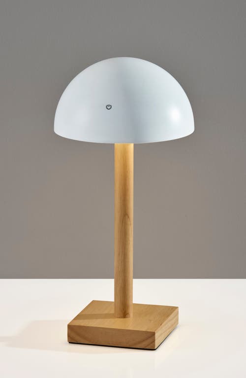 Adesso Lighting Nash Led Cordless Table Lamp