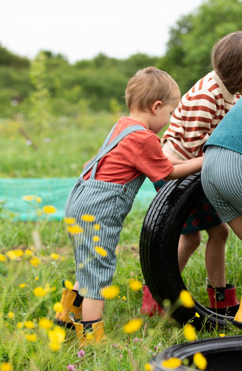 Little Green Radicals Kids' Stripe Organic Cotton Twill Overalls, Alternate, color, Navy