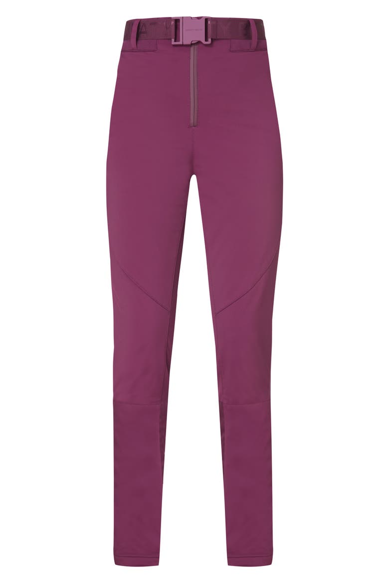 Power Water Resistant Ski Pants, Alternate, color, PLUM PURPLE