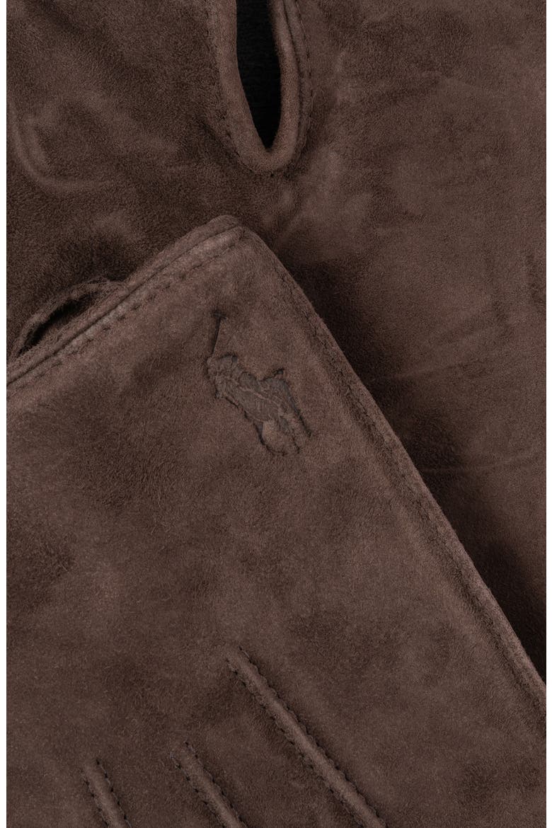 Everyday Suede Glove, Alternate, color, Dark Brown
