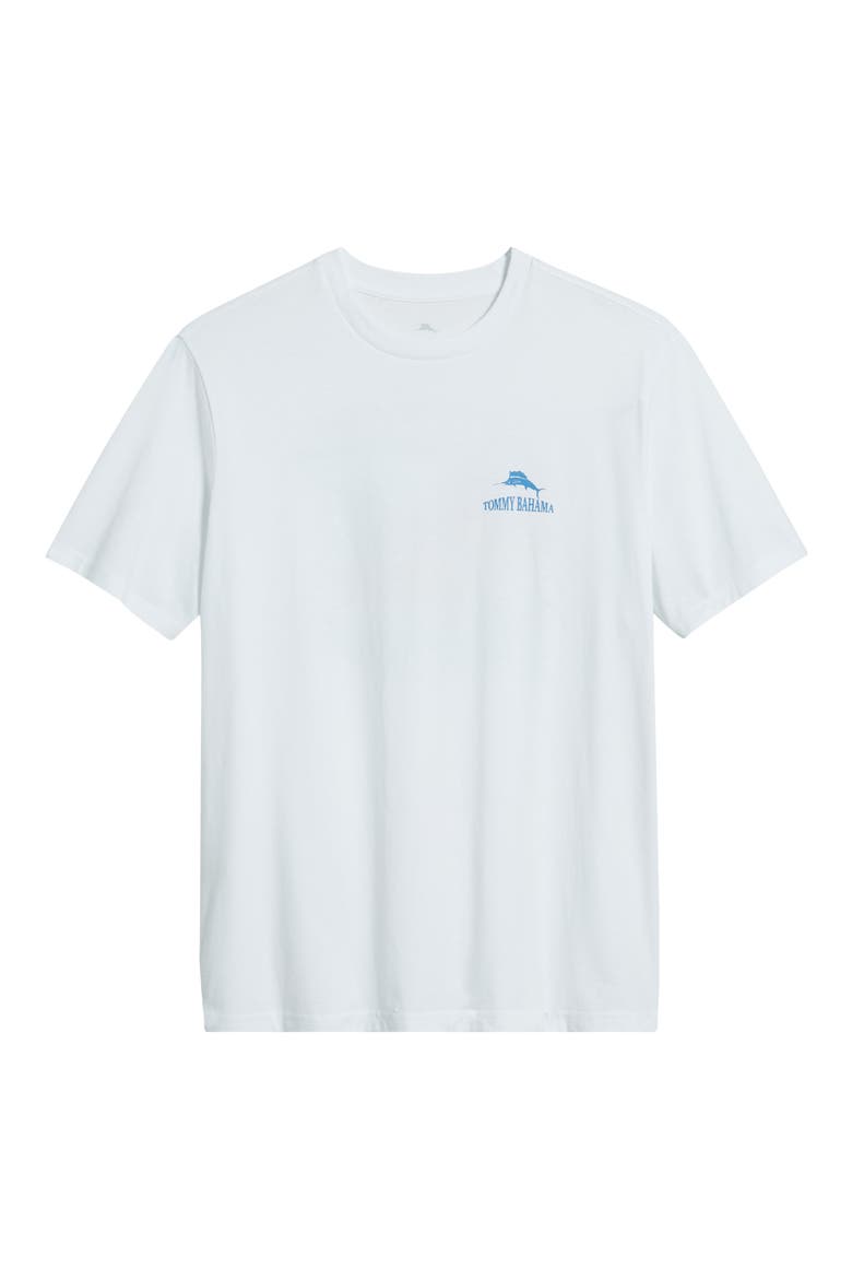 Bro Fly Zone Crewneck Graphic T-Shirt, Alternate, color, WHITE