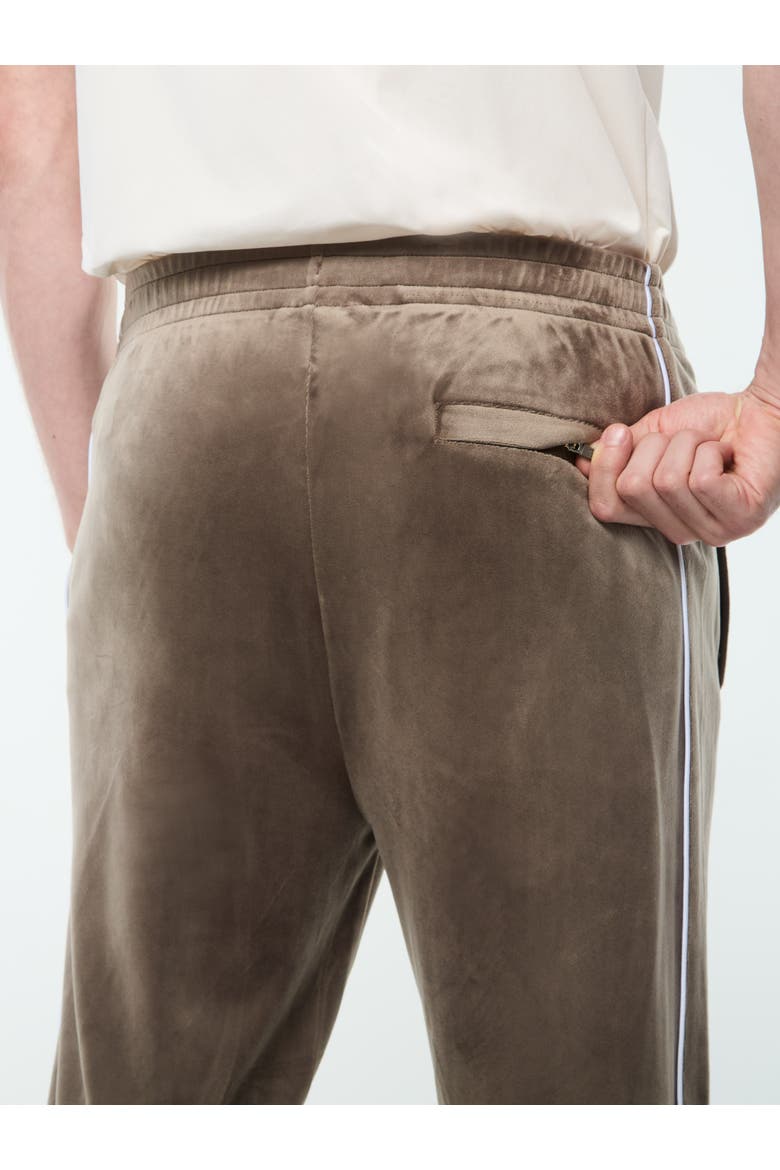 Lioni Track Pant, Alternate, color, MOREL
