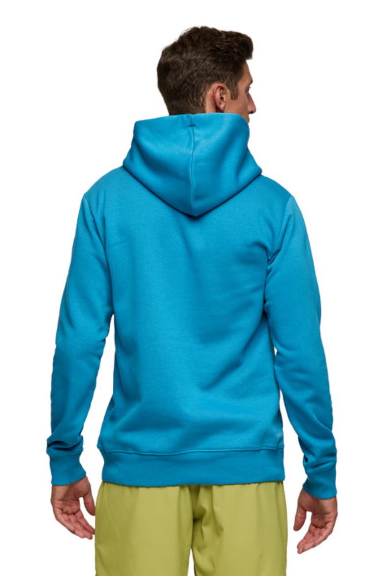 Llama Pullover Hoodie - Men's, Alternate, color, Lake