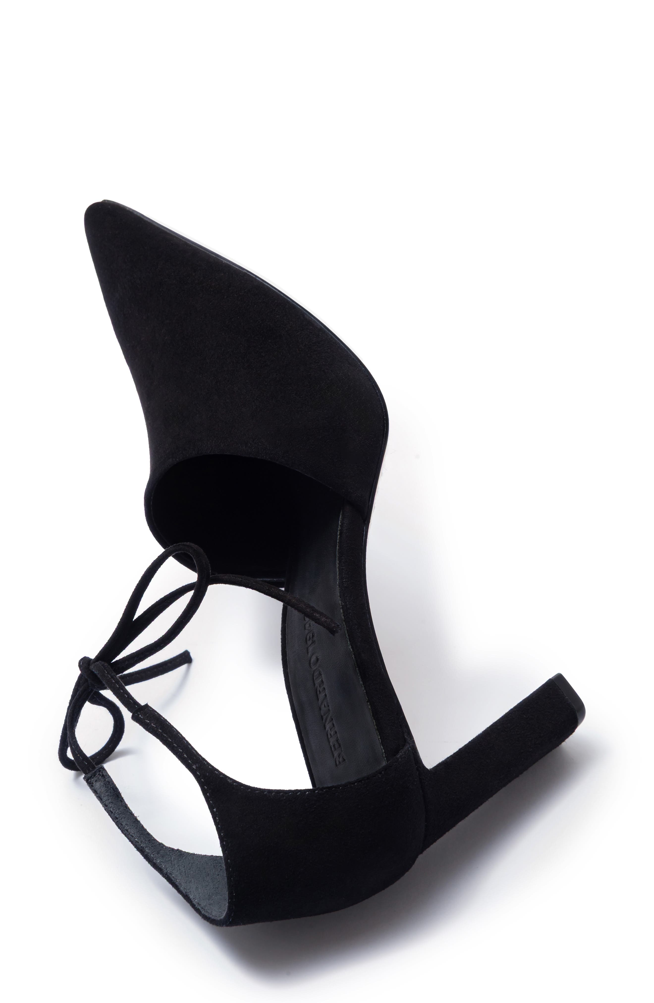 Siena Ankle Tie Pointed Toe Pump, Alternate, color, BLACK SUEDE