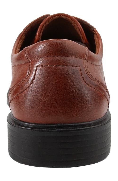 Deer Stags Easton Supro Derby In Brown