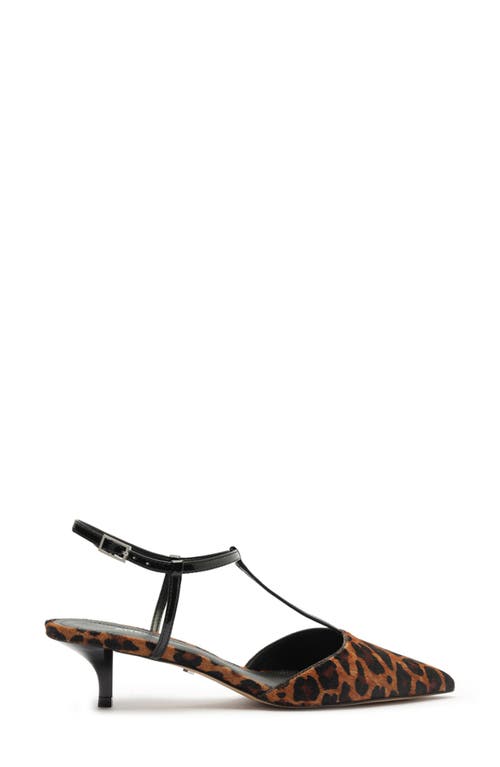 Arezzo Teagan Ankle Strap Pointed Toe Pump In Brown