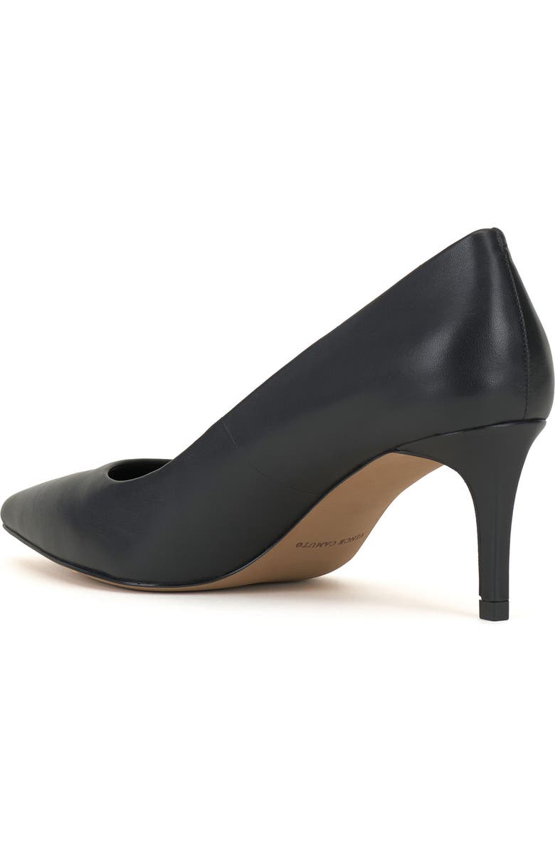Vince Camuto Kehlia Pointed Toe Pump, Alternate, color,