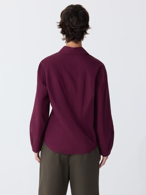 Callas Milano Lucia Lantern Sleeve Shirt In Purple