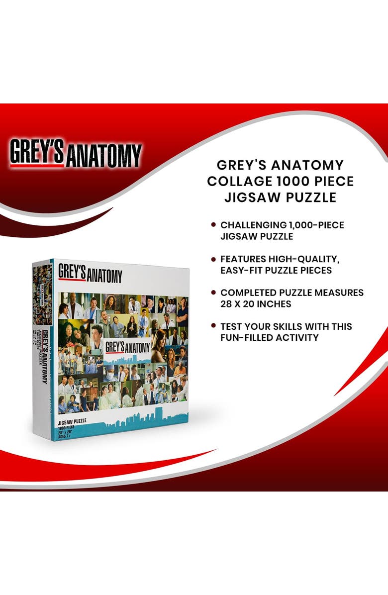 Toynk Grey's Anatomy Collage 1000 Piece Jigsaw Puzzle, Alternate, color, Multi-Colored