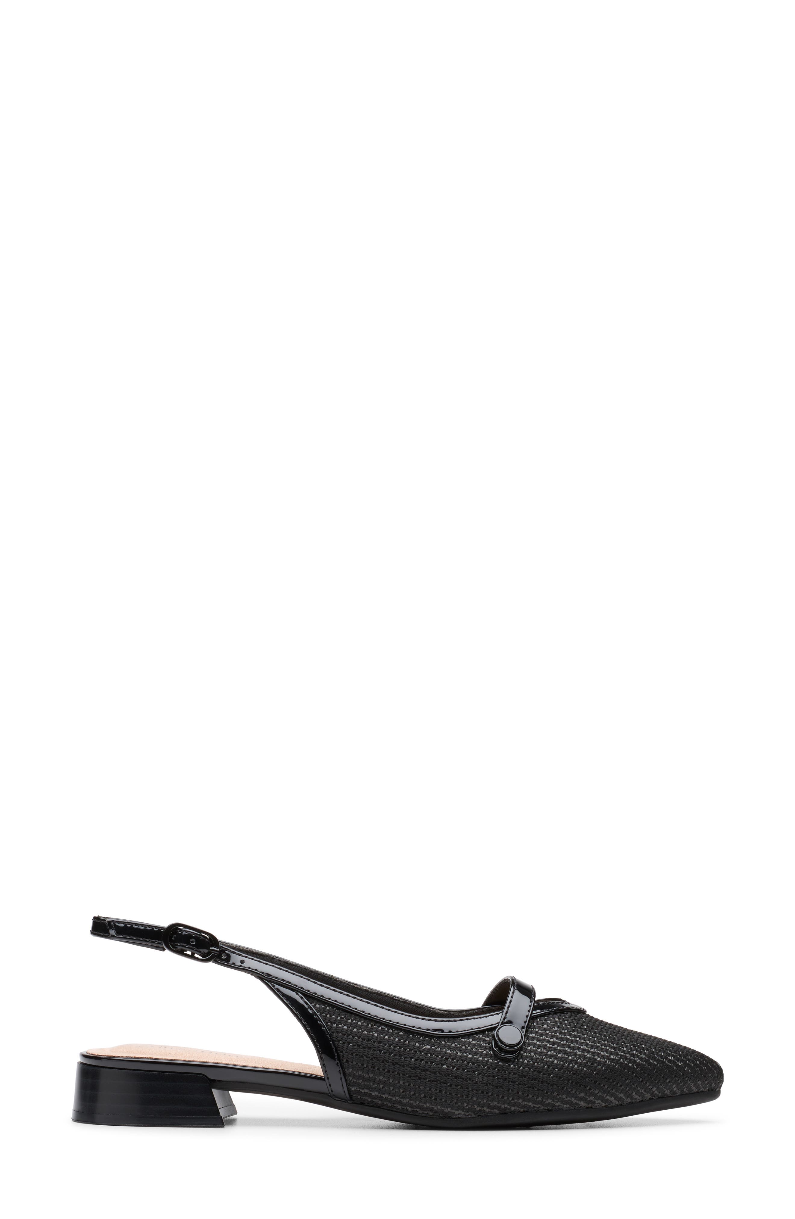 Natalyn Pointed Toe Slingback Flat, Alternate, color, BLACK RAFFIA