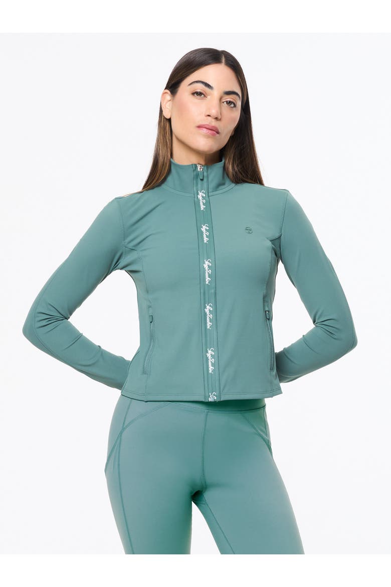 Delfina Contour Track Jacket, Alternate, color, PALE MAUVE