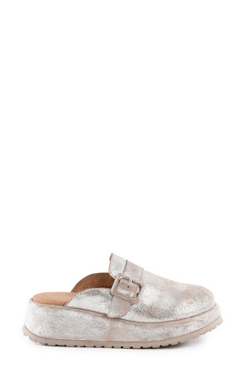 Seychelles Come Together Ii Platform Clog In Gray