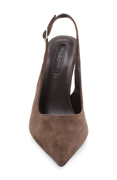 Tony Bianco Asti Slingback Pointed Toe Pump In Brown