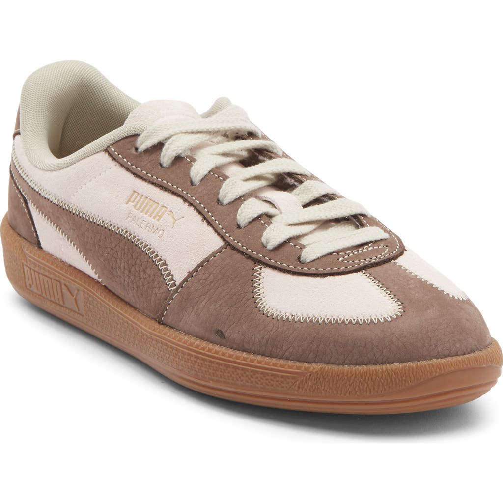 Puma Palermo 'wine Club' Sneaker In Multi