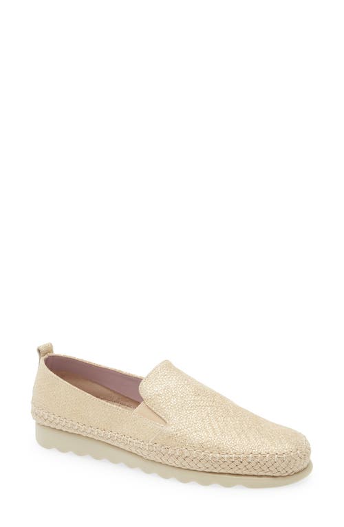 The Flexx Chappie Slip-on Sneaker