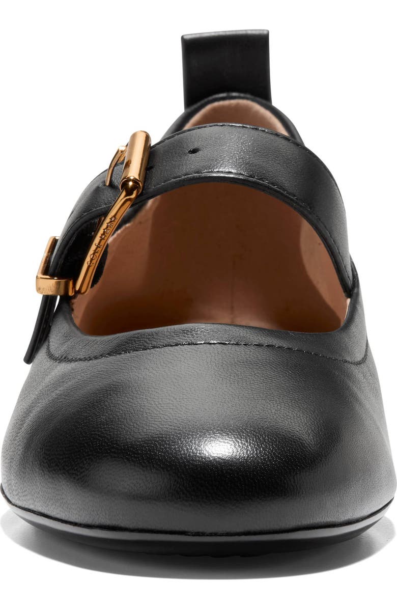 Cole Haan Graclyn Mary Jane Ballet Flat, Alternate, color,