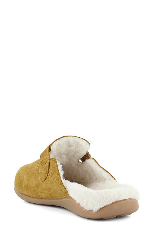 Strive Oslo Clog In Brown