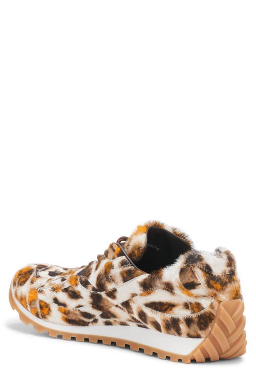 Bottega Veneta Orbit Sneaker In 2729 Jaguar