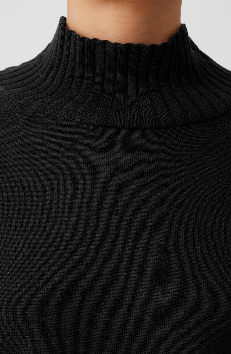 Eileen Fisher Merino Wool Turtleneck Sweater, Alternate, color, 