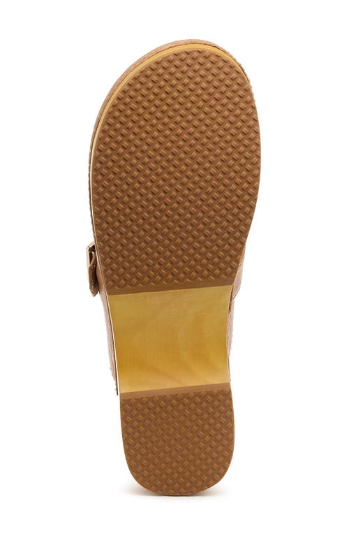 Kelsi Dagger Brooklyn Nitro Platform Clog In Brown
