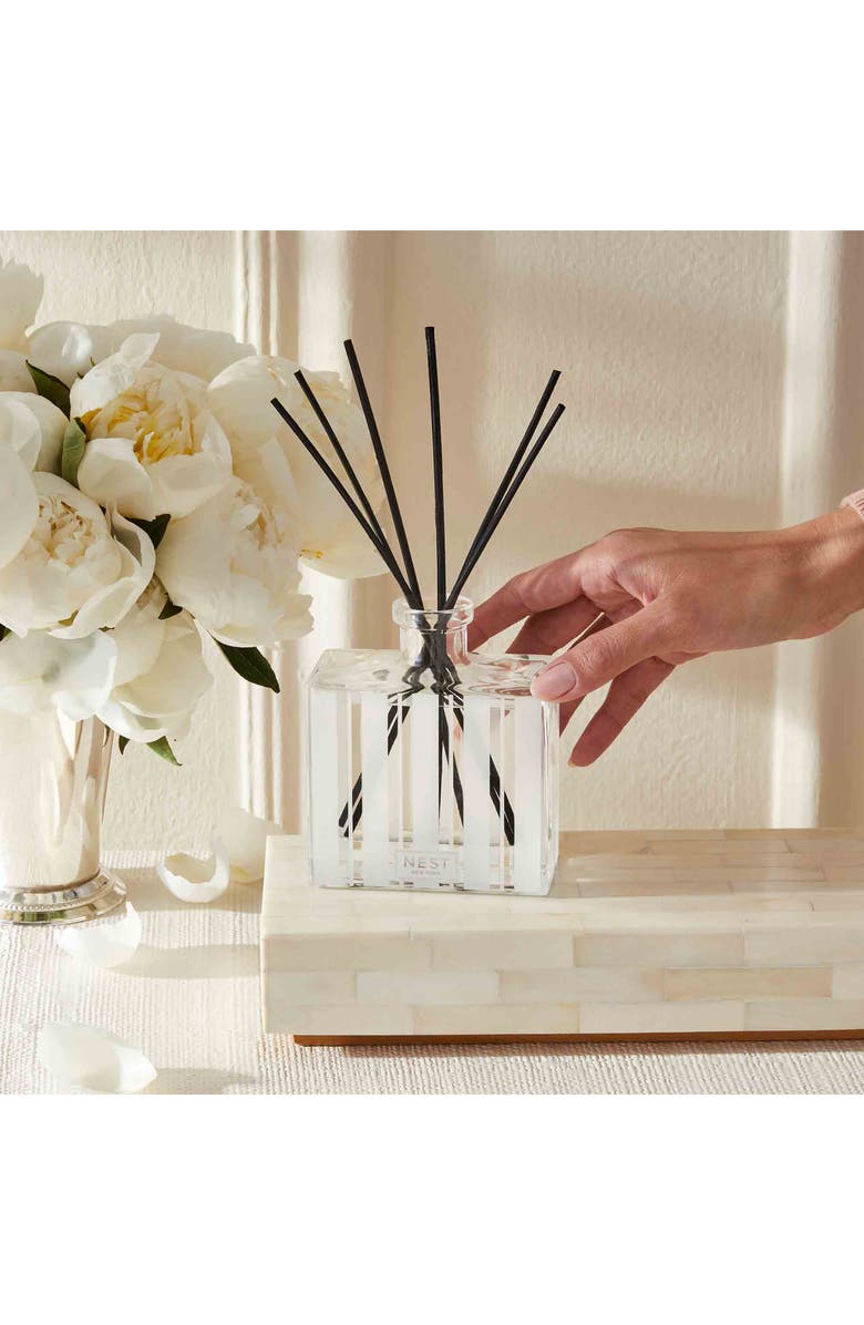 NEST New York Amalfi Lemon & Mint Reed Diffuser, Alternate, color,