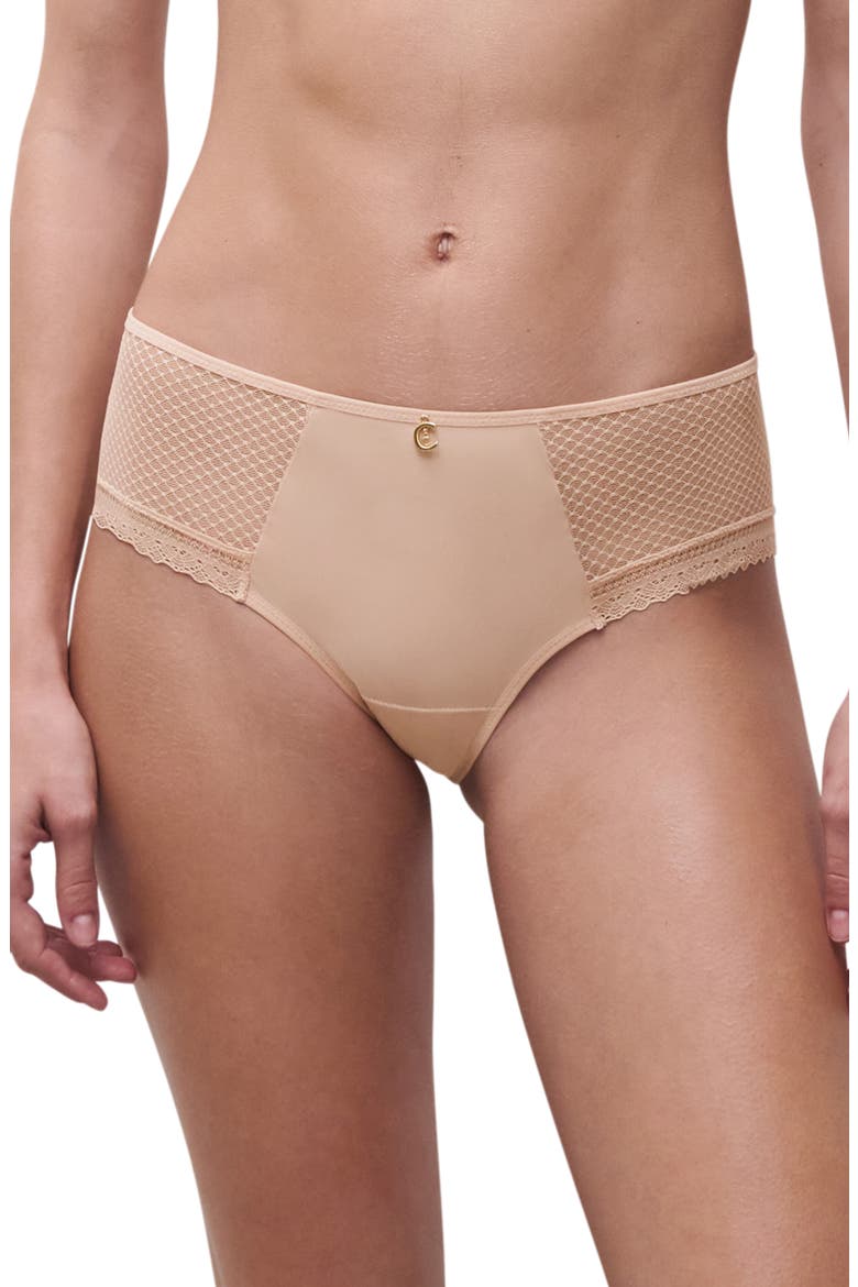 Lace Trim Tulle & Microfiber Briefs, Main, color, BEIGE BLUSH