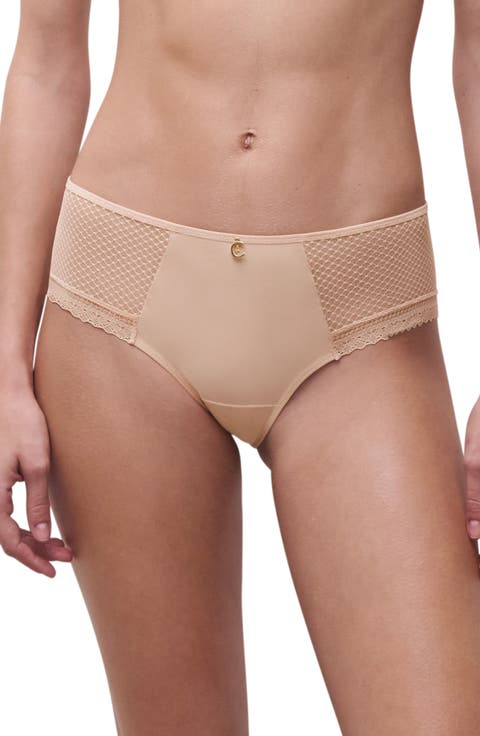 Lace Trim Tulle & Microfiber Briefs