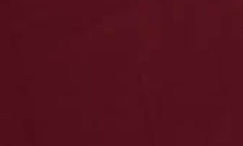 Nvlt Faux Fur Trim Faux Suede Jacket In Burgundy