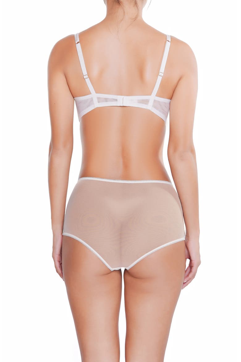 Amoureuse High Waist Embroidered Lace Briefs, Alternate, color, WHITE