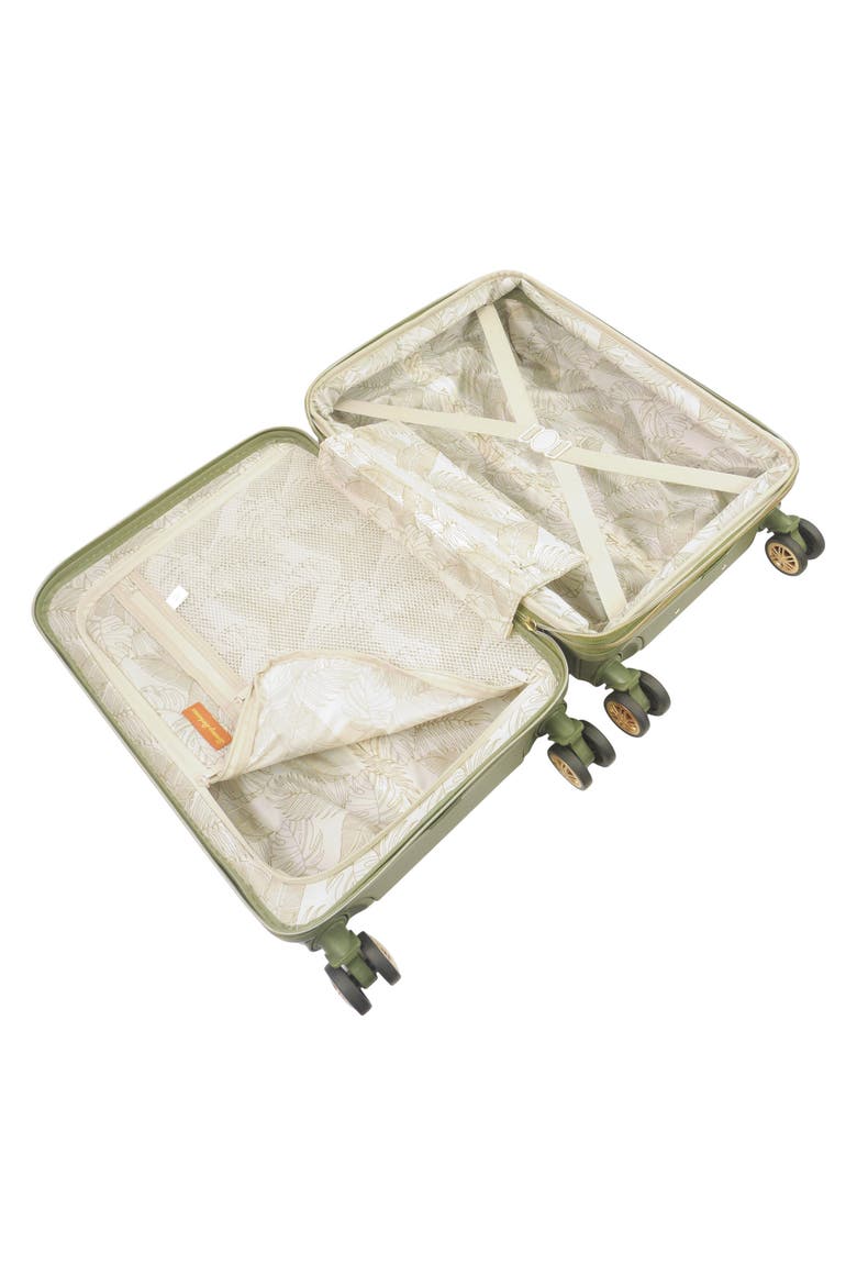 22-Inch Hardside Carry-On Spinner Luggage, Alternate, color, OLIVE