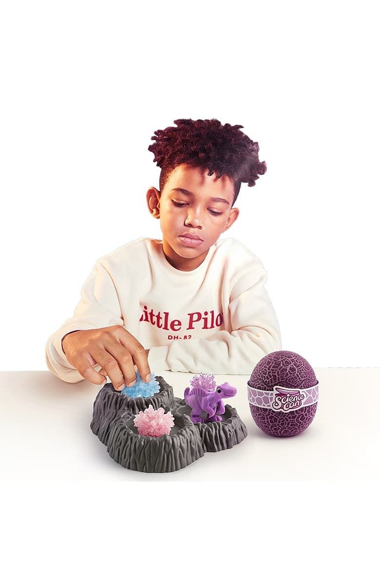 Science Can Crystal Dinosaur Growing Kit, Alternate, color, Multicolored