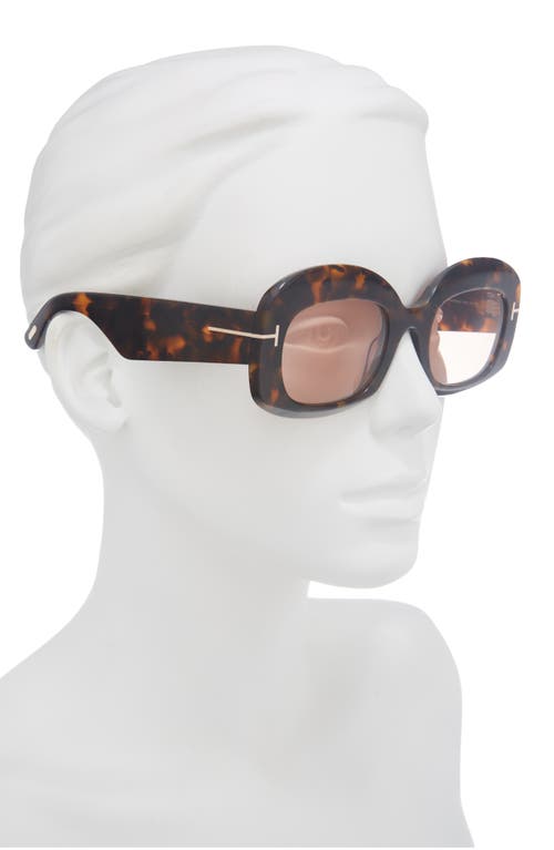 Tom Ford 53mm Square Sunglasses In Brown