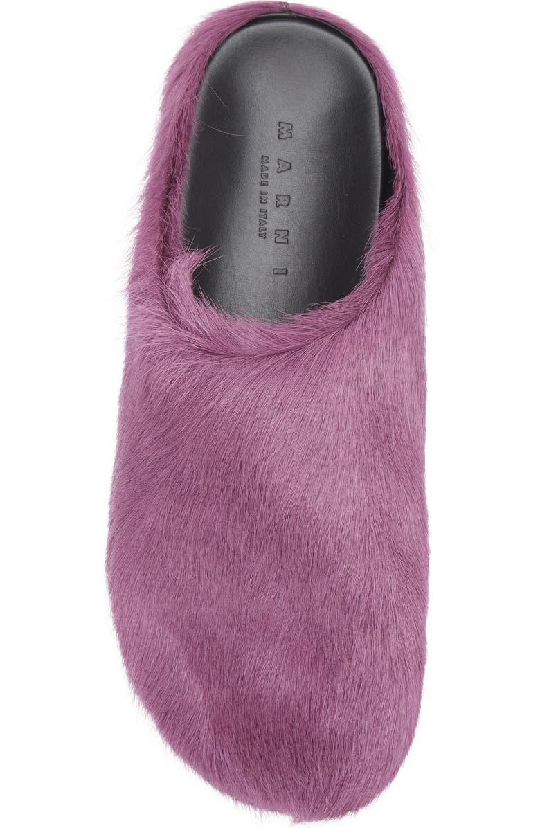 Marni Fussbett Sabot Genuine Calf Hair Clog, Alternate, color, Purple