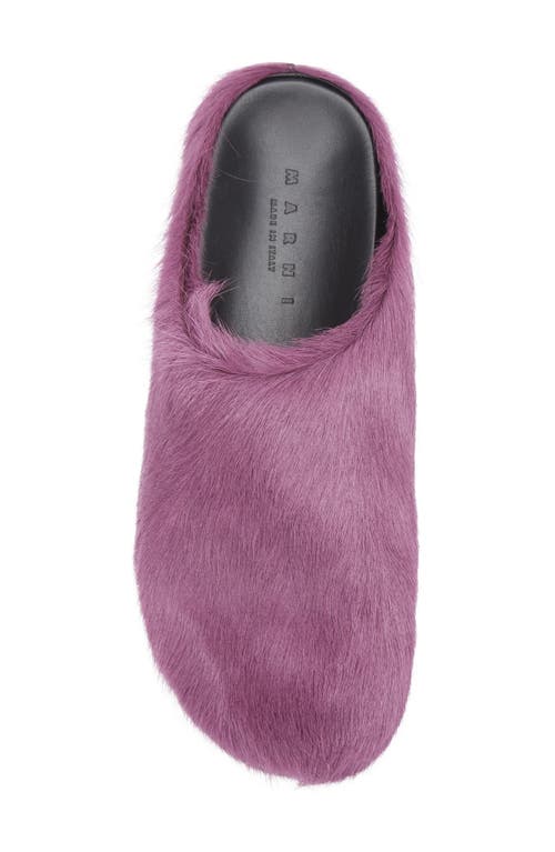 Marni Slip-on Mule Sandals In Textured Calf Hair In Purple