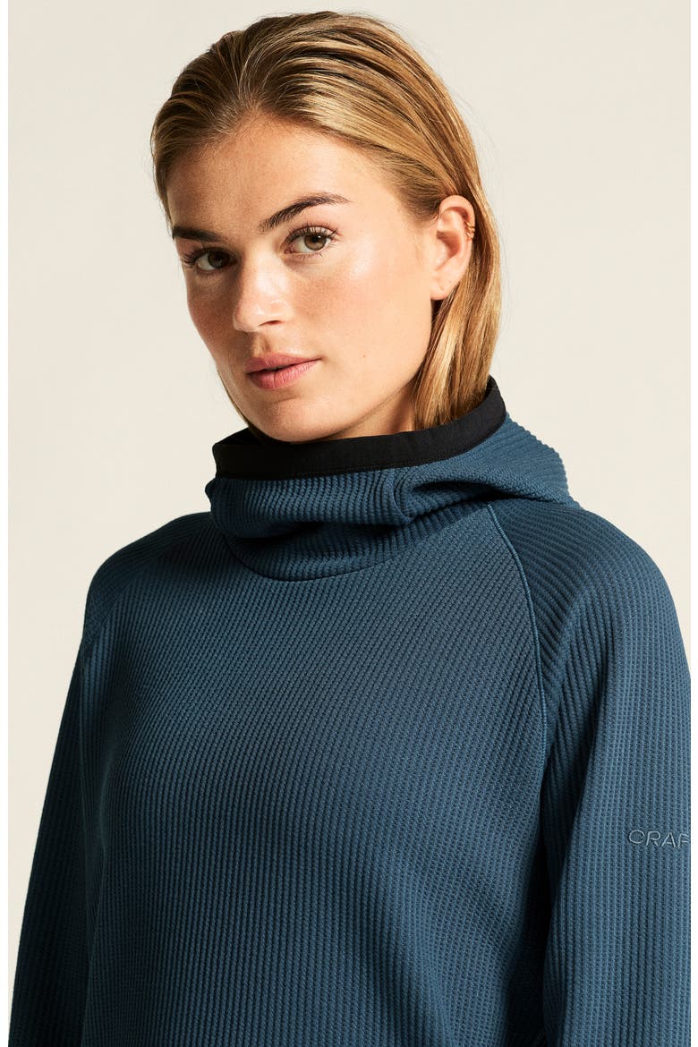 Grid Hoodie, Alternate, color, ENSIGN