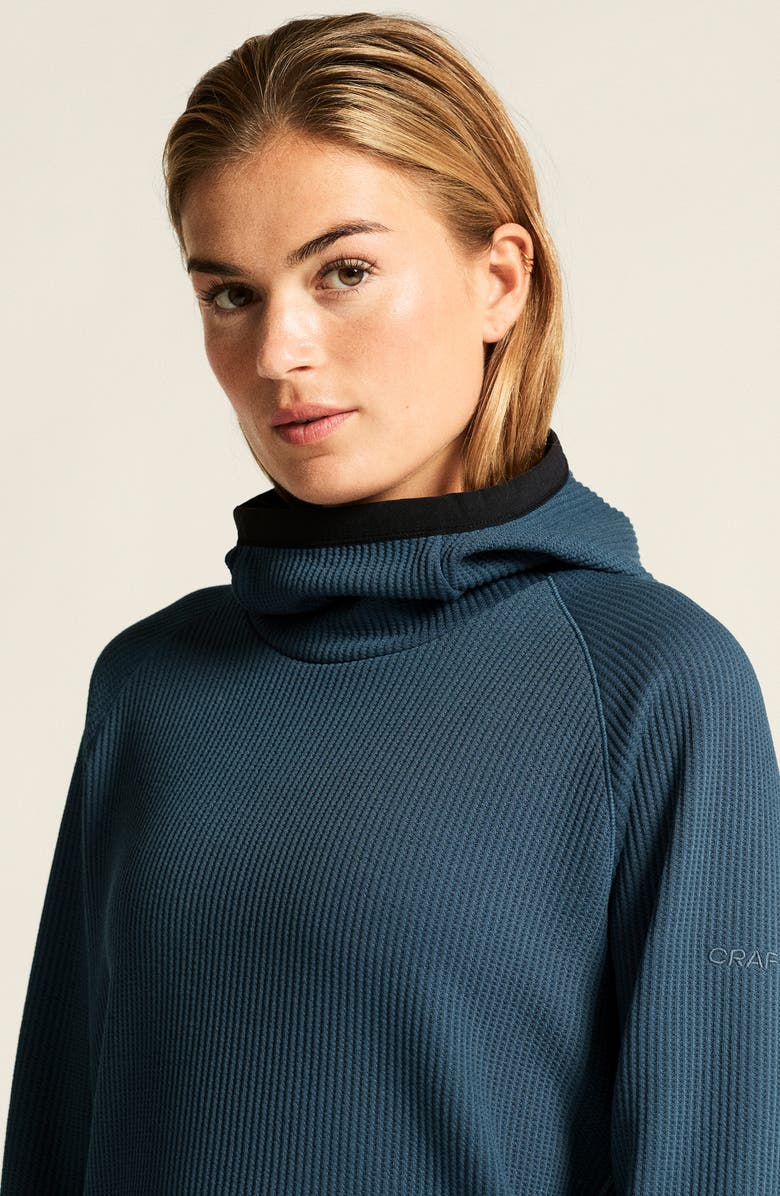 Craft Grid Hoodie, Alternate, color, Ensign